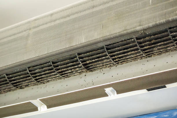 Best Air Duct Cleaning Near Me  in West Alexandria, OH